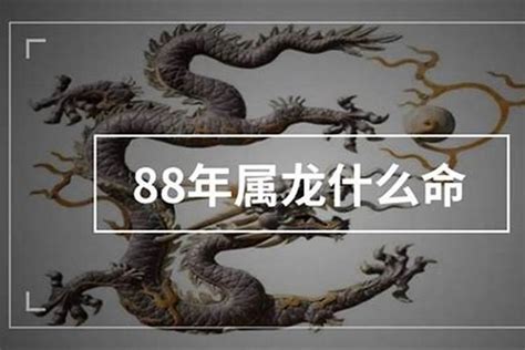 1988年是什么命|88年的龙是什么命 1988年的龙是什么命